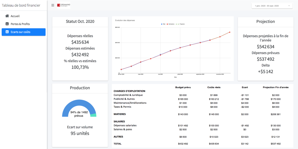 Presenting the results Page 1: Profits and losses This section identifies different optimization methods for increasing earnings: whether by increasing revenue, lowering costs, or both.